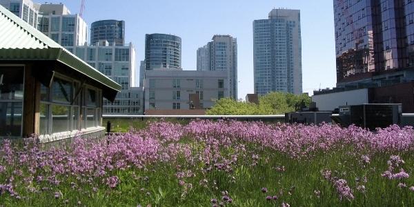 SOPREMA Green Roof