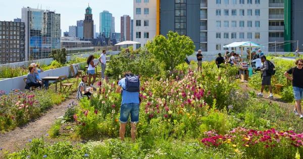 RCS Intensive Green Roofs