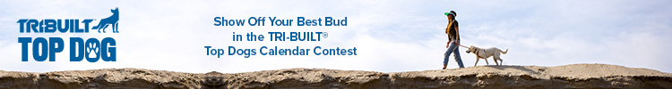 Beacon - Banner Ad - Top Dog Contest 2024