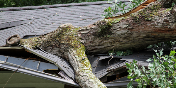 Roof gallery What to do when the storm hits