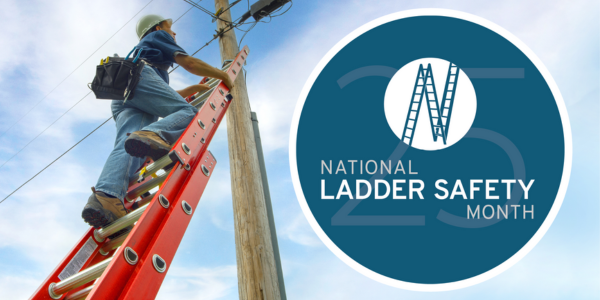 Get involved in National Ladder Safety Month with free online training